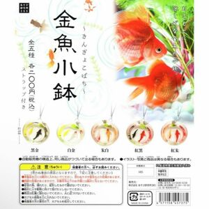 金魚小鉢 【全5種】　新品