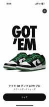 Nike SB Dunk Low Pro Black and Classic Green_画像1