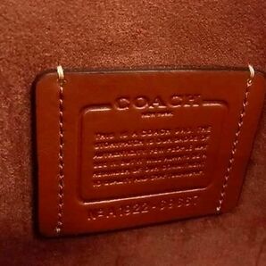 1円 ■極美品■ COACH コーチ 69667 スタイル ハワイアン アイランズ パーム レザー トートバッグ ショルダー ピンクベージュ系 FA6200の画像6