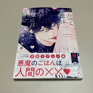 新品未読品 はらぺこ悪魔は俺がお気に召したようで 緒川園原先生