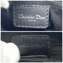 1円 極美品 Christian Dior クリスチャンディオール ハラコ ミニボストン ミニハンドバッグ カデナ SV金具_画像9