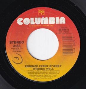 Terence Trent D'Arby - Wishing Well / Elevators & Hearts (A) RP-CJ530