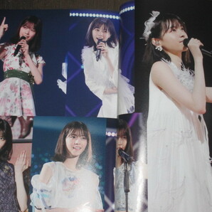 乃木坂46西野七瀬 写真集 乃木坂46 7th YEAR BIRTHDAY LIVE DAY4 西野七瀬卒業コンサートフォトブック  A版の画像4