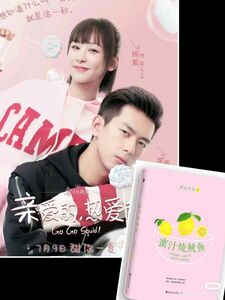 蜜汁燉魚 親愛的熱愛的　中国語小説