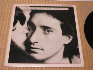 DAVID POMERANZ デヴィッド・ポメランツ THE TRUTH OF US 涙のくちづけ デビッド・ポメランツ 米 LP Promotional Copy表記 リー・リトナー