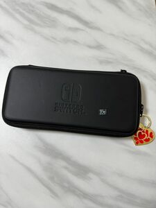 Nintendo Switch キャリングケース microSDカード