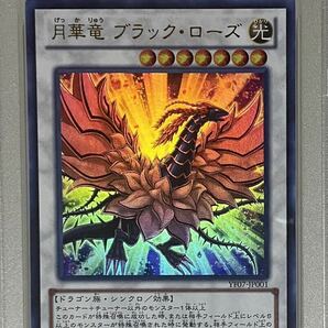 PSA10 月華竜 ブラックローズ プロモ YF07-JP001 ウルトラレア 遊戯王 2014年 最高評価の画像3