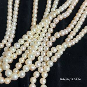 1000円〜 13まとめ 美品 pearl パール 真珠 本真珠 ネックレス 12本セット 総重量約403g 送料無料 の画像6