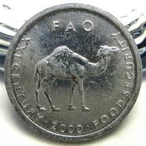 ソマリア 10シリング 2000年 FAO 21.97mm 1.31g_画像1