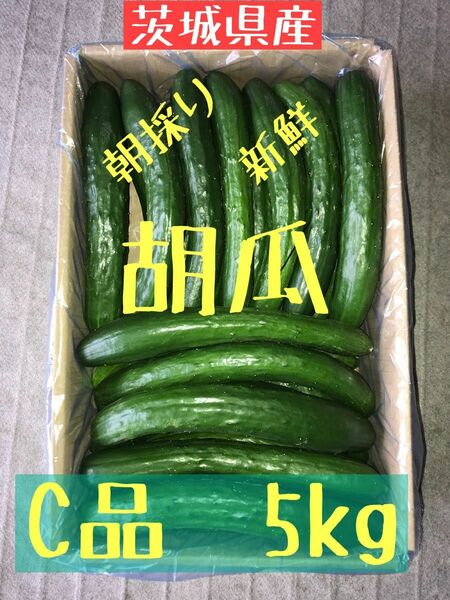 茨城県産 新鮮 胡瓜 C品 5kg