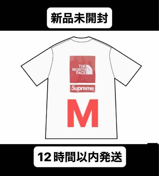 Supreme x The North Face S/S Top white M