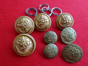 [ the truth thing ] large Japan . country navy under .. button each kind set ( navy .* navy button * under ...* Japan navy button )