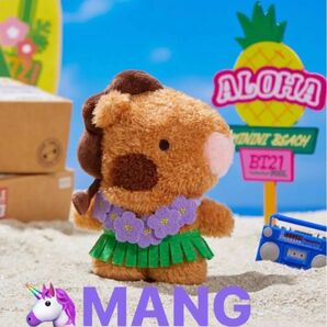BT21 minini サマーバージョン MANG