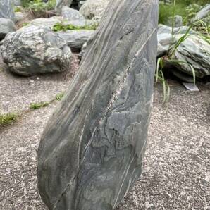 阿波の青石 極上 希少 庭園資材 日本庭園 京都 京庭 銘石 盆栽 25kgの画像3