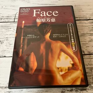 希少　柏原芳恵 FACE DVD セル版 美品