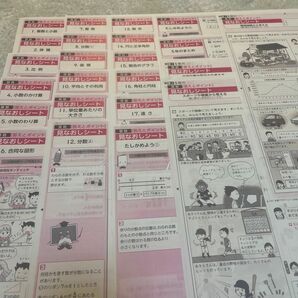 ★カラーテストの模範解答のみ★小5 算数23枚　　　　　啓林館　青葉出版【送料無料】