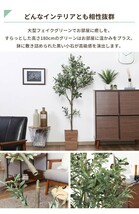 オリーブ フェイクグリーン 観葉植物 人工観葉植物 高さ180 ジョイント インテリア お手入れ不要 大型 造花 M5-MGKFGB00542_画像3