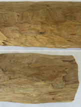 木材・香木の白檀・丸太・重さ約１４２５グラム・長さ約３４センチ_画像9