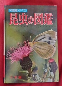 * secondhand book insect. illustrated reference book elementary school .. study illustrated reference book series ②* elementary school .0 Showa era 39 year modified .. version *