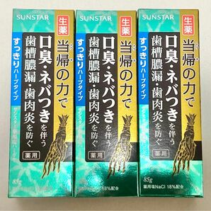 薬用塩ハミガキ 当帰の力 すっきりハーブタイプ 歯磨き粉 口臭 ネバつき 3個