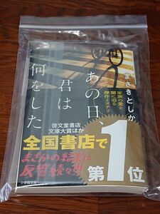  あの日、君は何をした （小学館文庫　ま２３－１） まさきとしか／著