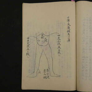 浅井家腹診書并図 江戸末期頃写 ２２丁 漢方 写本 古文書の画像7