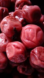南高梅　梅干し　500g　農薬不使用　無添加　自然栽培　マクロビ　赤紫蘇　食養生