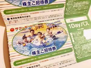 【送料無料・最新・即決】東京都競馬　株主優待　東京サマーランド招待券　4+4=8枚