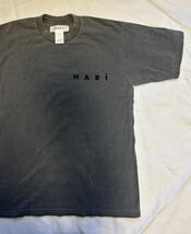 journal standard luxe ジャーナルスタンダードラックス　HARI ハリ　Tシャツ　美品　ジャーナルluxe_画像3