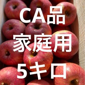 青森県産りんごフジ家庭用 CA品5キロ