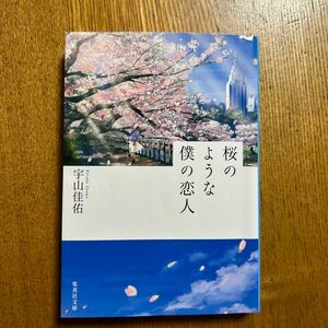 桜のような僕の恋人 （集英社文庫　う２３－２） 宇山佳佑