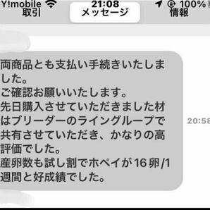 ⑨ 柔らか ナラ 11本 太さ9〜12cm 長さ約14 cm 椎茸原木 産卵木 千葉県の画像5