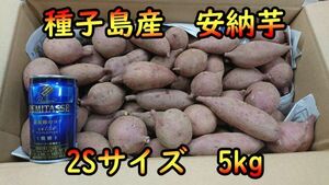 【本場】完熟！ねっとり！安納芋紅2S　5キロ【種子島産】