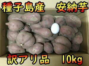 【本場種子島産】訳アリ品　安納芋紅（SMLサイズ混合）　10kg【K-GAP取得】