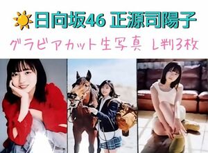 日向坂46 正源司陽子グラビアカット生写真 L判３枚