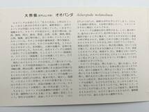 65961-4 未使用 コレクター大放出 中国切手 オオパンダ 6種完 パンダ切手 57 58 59 60 61 62 中国人民郵政 1973年 冊子付 コレクション_画像5