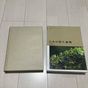 J 2001年初版発行 「日本の野生植物 コケ」の画像2