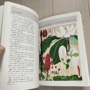 J 1986年発行 「普及版 北海道主要樹木図譜」の画像5