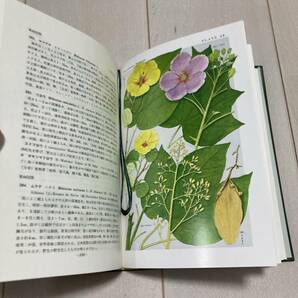 J 平成6年発行 「原色日本植物図鑑・木本編」 2冊一括の画像6
