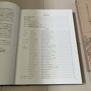 L 1995年初版発行 「日本草本植物根系図説」の画像3