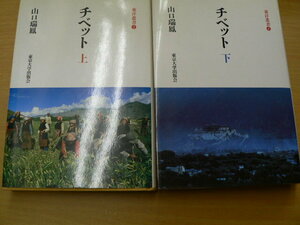 チベット 上下　2冊揃 東洋叢書 山口瑞鳳　　　　ｄ