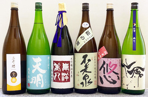 【高級酒入り】日本酒 6本セット 1800ml 【Y-04】 東洋美人 酒未来 山田錦 日本酒セット 6本 セット 純米大吟醸 居酒屋 飲み比べ 注目 激安