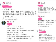 訳あり3本セット 密網 ごみ取りネット 魚を掬う ミジンコ メダカ　金魚　熱帯魚　淡水魚 針子　玉網　タモ網　浮草ネット アクアリウム_画像7