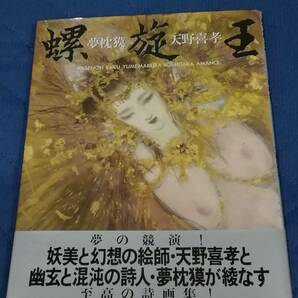 ★★★螺旋王 初版 帯付き 夢枕獏 天野喜孝★★★ 徳間書店 1992年 レア 希少の画像1