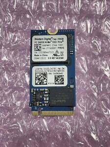 Western Digital PC SN530 M.2 256GB NVMe M.2 2242 SSD 使用時間1時間.