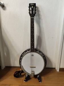 Aria SB-780G guitar banjo GuitarBanjo hard case 