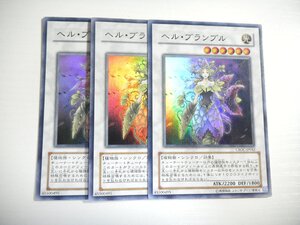 AR5【遊戯王】ヘル・ブランブル 3枚セット スーパーレア 即決