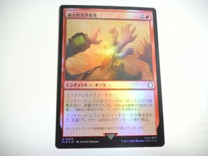 F512【MTG】後天性突然変異 Foil Fallout