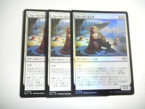 F610【MTG】プレーリードッグ Foil ×1 非Foil ×2 3枚セット サンダー・ジャンクションの無法者