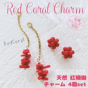 送料無料★akeeeeey★【再販】天然素材 レッドコーラル2種のチャームset 紅珊瑚②_Ⅸ|ピアスチャーム ペンダント パワーストーン
